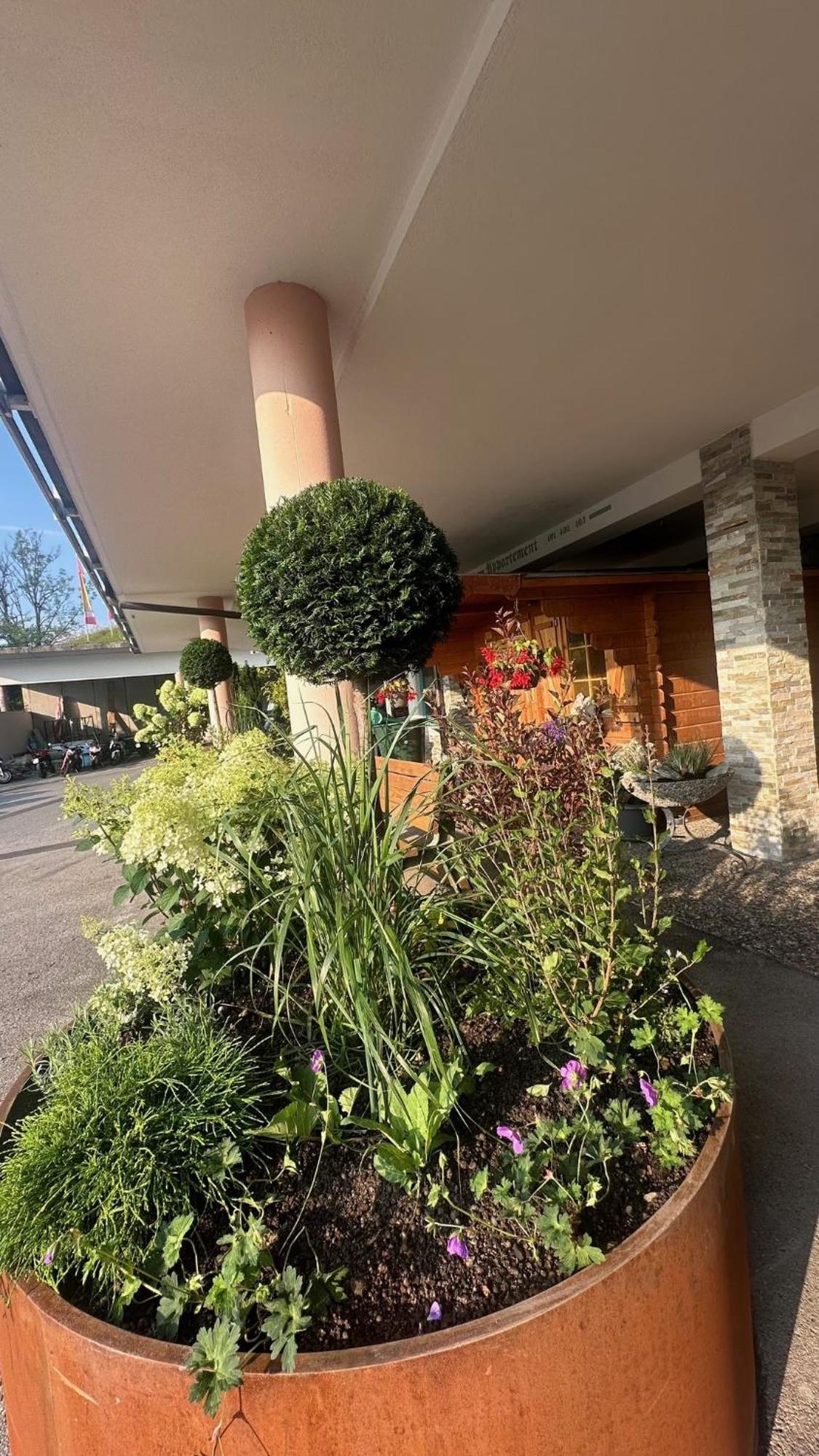 Hotel Talhof Garni&more In Wangle Bei 4*